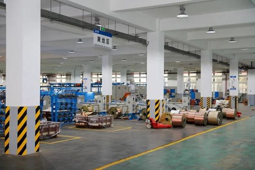 新质生产力的隐形巨人 一位技术研发者在三大新兴产业中的深耕之路